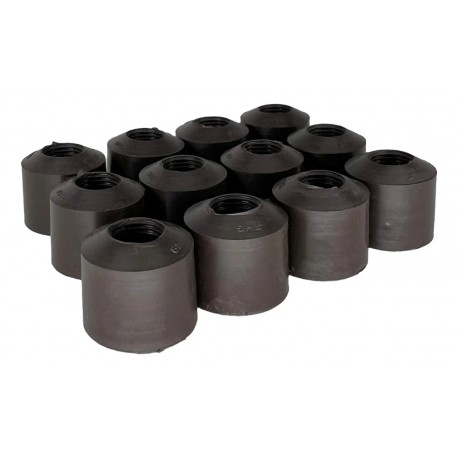 GOMA DE VALVULA CARAVAN 3.3L / 3.8L V6 90-00 (12 PCS) (RUSHMORE)