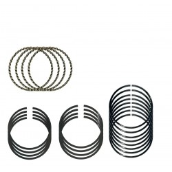 ANILLOS 0.80 FIAT PALIO/FIRE MOTOR 1.4 (EBITEN)