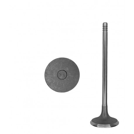 VALVULA ARAUCA/X1/QQ6 ESCAPE (CHERY) (473H-1007012BA) (6MM VASTAGO, LARGO 107MM, ASIENTO 24MM)