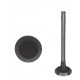 VALVULA CORSA 1.6/MONTANA 1.8/MERIVA 1.8 ESCAPE (GM) (96098751) (7MM VASTAGO, LARGO 102, ASIENTO 31MM)
