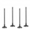 VALVULA FIESTA TODOS/KA/ECOSPORT 1.6 ADMISION (FORD) (6MM VASTAGO, LARGO 110MM, ASIENTO 40MM)