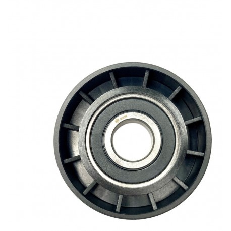POLEA CORREA UNICA LOGAN/CLIO/SYMBOL/MEGANE CLASSIC/KANGOO/SCENIC/LAGUNA 1.6/SANDERO (MHW) (PLASTICA LISA) (17MM INTERNO, 60MM E