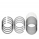 ANILLOS 0.30 TUCSON/ELANTRA 2.0/SPORTAGE 2.0 GRUESO (NPR)