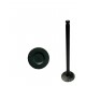 VALVULA TERIOS 1.3 1.5 ESCAPE (TOYOTA) (5MM VASTAGO, LARGO 89MM, ASIENTO 22.5MM)