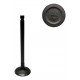 VALVULA ACCENT 1.6/GETZ 1.6/ELANTRA 1.6/KIA RIO 1.6 CVVT ESCAPE (HYUNDAI) (6MM VASTAGO, LARGO 92,5MM, ASIENTO 25MM)