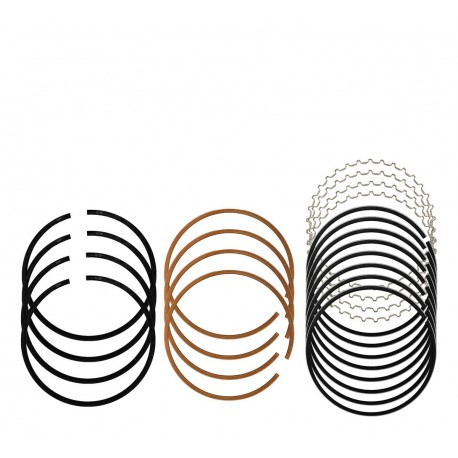 ANILLOS 0.30 PANEL L300 2.0 (NPR)