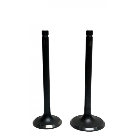 VALVULA GRAND VITARA 2.0 2.5 2.7 ESCAPE (ANCOV) (6MM VASTAGO, LARGO 86MM, ASIENTO 28MM)