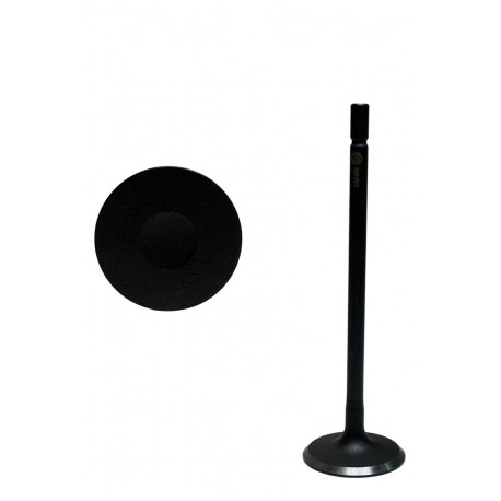 VALVULA MEGANE 2/SCENIC 2.0/LAGUNA 2.0/DUSTER ESCAPE (MHW) (5.5MM VASTAGO, LARGO 109MM, ASIENTO 28.8MM)
