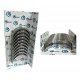 CONCHA BANCADA 0.20 TERIOS 1SZ-K3 1.3L 02-07 (CON CUÑA) (RUSHMORE)