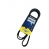 CORREA UNICA FIESTA BALITA/POWER/MAX/MOVE/KA/ECOSPORT 1.6 2.0 CON AIRE ACONDICIONADO (6PK2250) (MICHELIN)