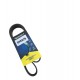 CORREA UNICA COROLLA 15-20 6PK929 (MICHELIN)