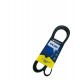 CORREA UNICA TERIOS BEGO 1.5 6PK1880 (MICHELIN)