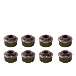GOMA DE VALVULA CORSA 1.3-1.4-1.6/DAEWOO CIELO/LANOS/RACER/PALIO 1.8/SIENA 1.8 PAQ 8 (TRUTH)