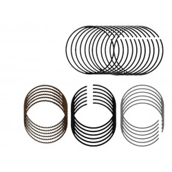 ANILLOS 0.20 TRAILBLAZER 4.2 FINO/GRUESO (BECO)
