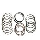 ANILLOS 0.30 EXPLORER 4.6/TRITON 5.4 FX4 (MAHLE)