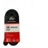 CORREA UNICA TRAILBLAZER/FUSION (6PK2325) (GATES)