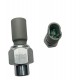 SENSOR VALVULA PRESION ACEITE DIRECCION LOGAN/CLIO 2/SYMBOL/MEGANE CLASSIC/KANGOO/SCENIC/SANDERO (EDJ7) (CONECTOR 2 PINES) (10MM